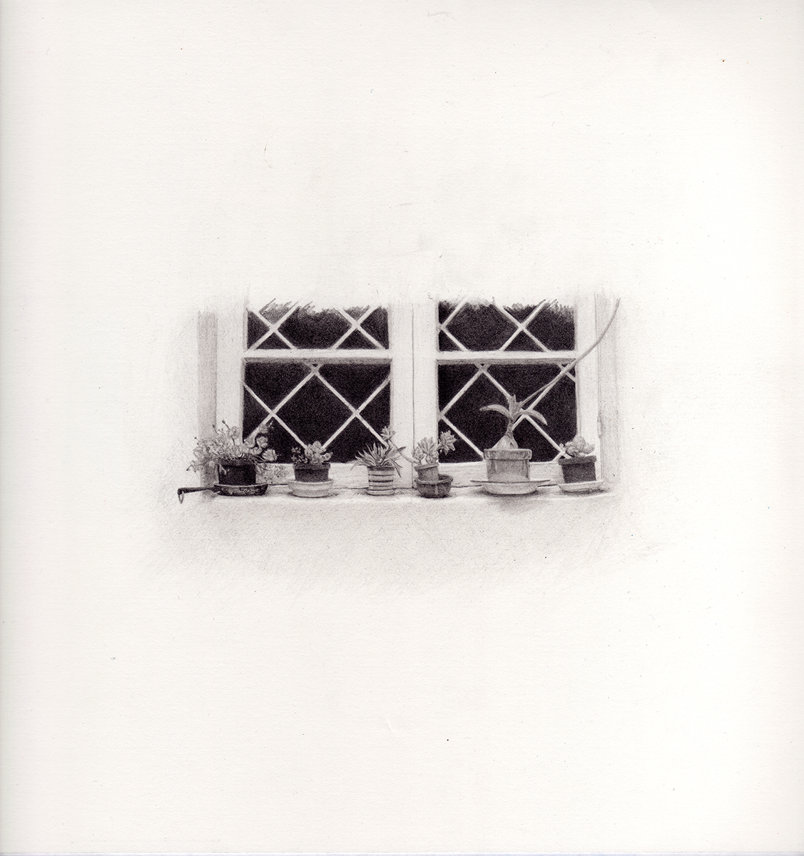 ventanas-1